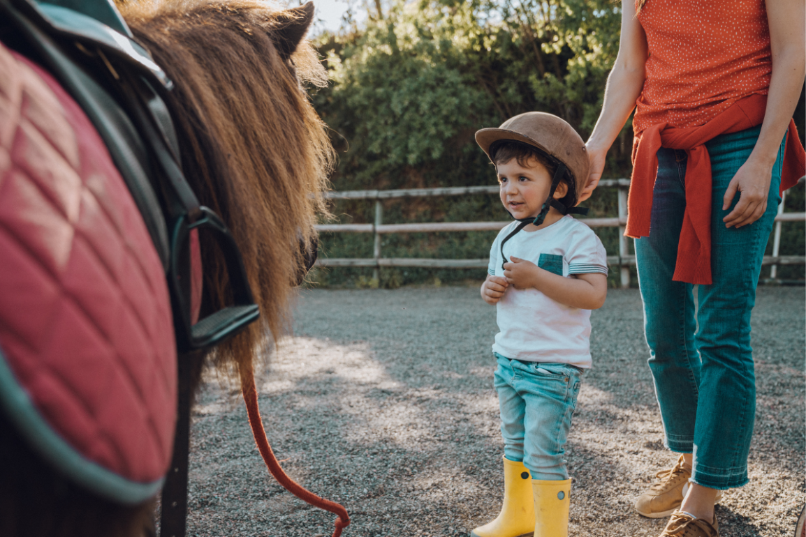 child with a horse